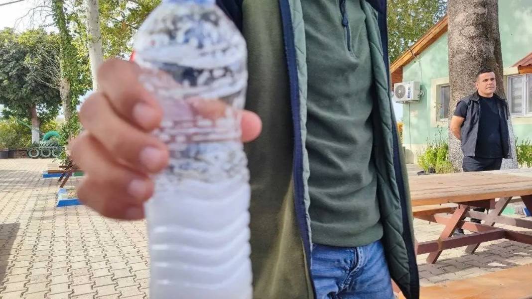 Türkiye’nin İlk Sabun Cevizi Endüstrisi Adana’da Kuruluyor! 5